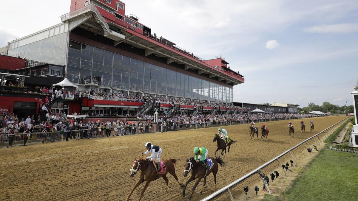 Horses cross the finish line at Pimlico Race Course on May 17. The 2019 Preakness Stakes will be run on Saturday.