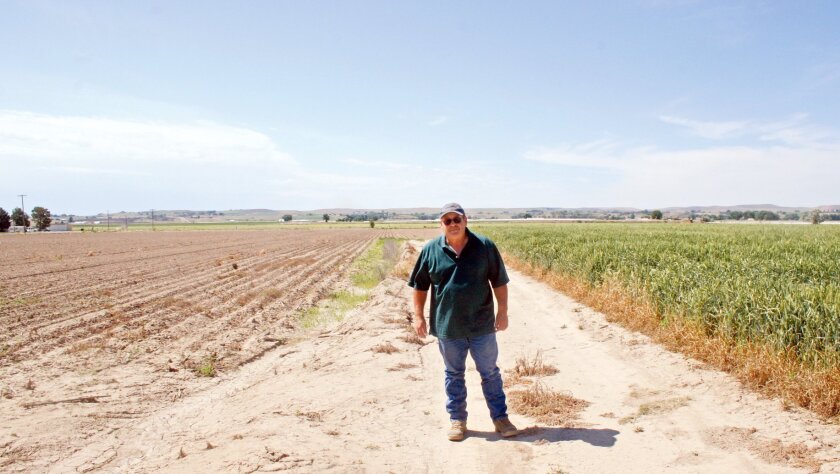 Dana Tuckness stands between two of his fields, one planted and one not, in Ontario, Ore., in June. The field at left had not been planted because of the water shortage.