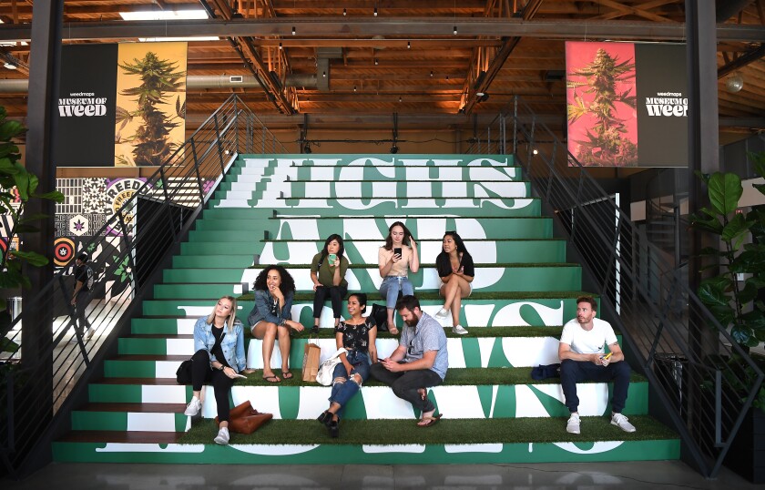 462731_HM_0816_museum_weed2_WJS.jpg