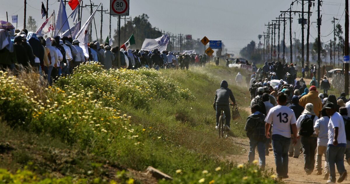 Thousands Of Mexican Farmworkers March 15 Miles As Strike Talks Continue Los Angeles Times 