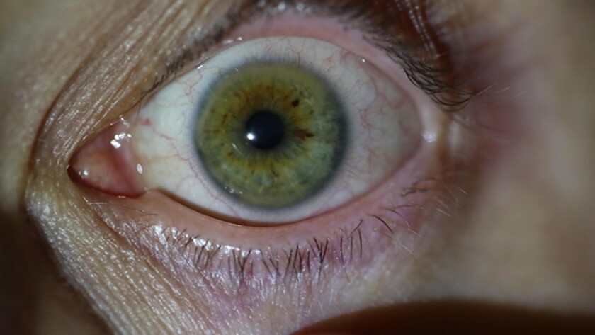   Una imagen fija un video del artista de Los Ángeles MPA muestra un ojo mirando a la cámara. 