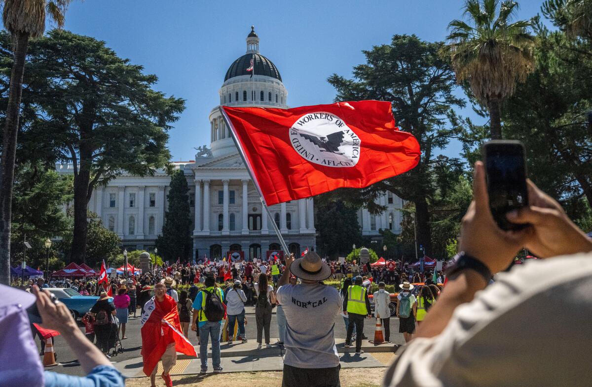 A man in a grey T-shirt and a straw hat waves a red flag in the middle of a crowd