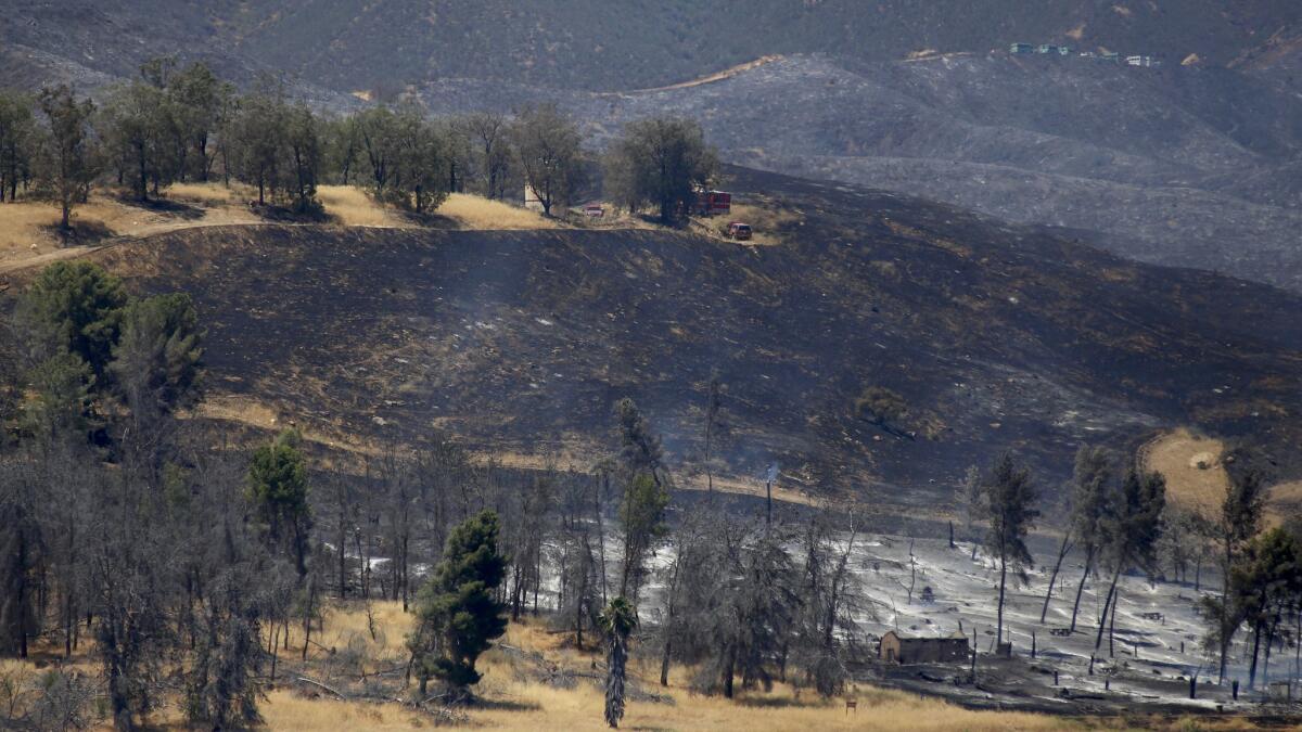 A brush fire near Castaic Lake burned 1,000 acres over the weekend and was only 10% contained as of Sunday afternoon.