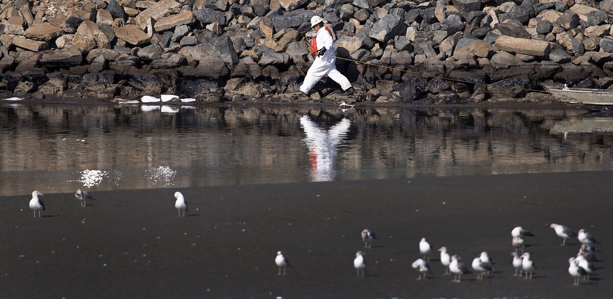 A worker cleans up Talbert Marsh as a major oil spill washes ashore in Huntington Beach.