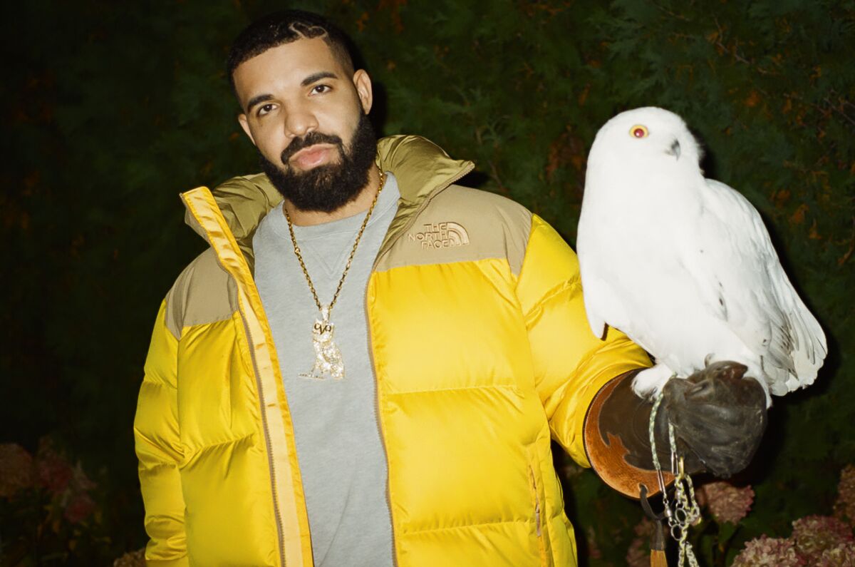 Drake wears a yellow jacket and holds a white owl on his extended arm.