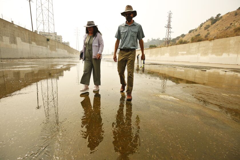 LOS ANGELES, CA - SEPTEMBER 15: Wendy Katagi, left, Senior Manager, Watershed and Ecosystem Restoration Services at Stillwater Sciences and Isaac Brown, D.Env. Senior Scientist at Stillwater Sciences meet with a group of biologists, engineers and LA City Hall officials as they do field work in the Los Angeles River channel with proposals for putting deeper, colder flows, riffles and pools back into a 4.8-mile stretch of the river downtown in an effort to bring endangered steelhead trout back to the L.A. River. The Los Angeles River Fish Passage and Habitat Structures Design Plan will create a migratory passageway for federally endangered steelhead cruising upstream to ancestral spawning grounds in the river's soft-bottom sections north of downtown. Los Angeles River on Tuesday, Sept. 15, 2020 in Los Angeles, CA. (Al Seib / Los Angeles Times