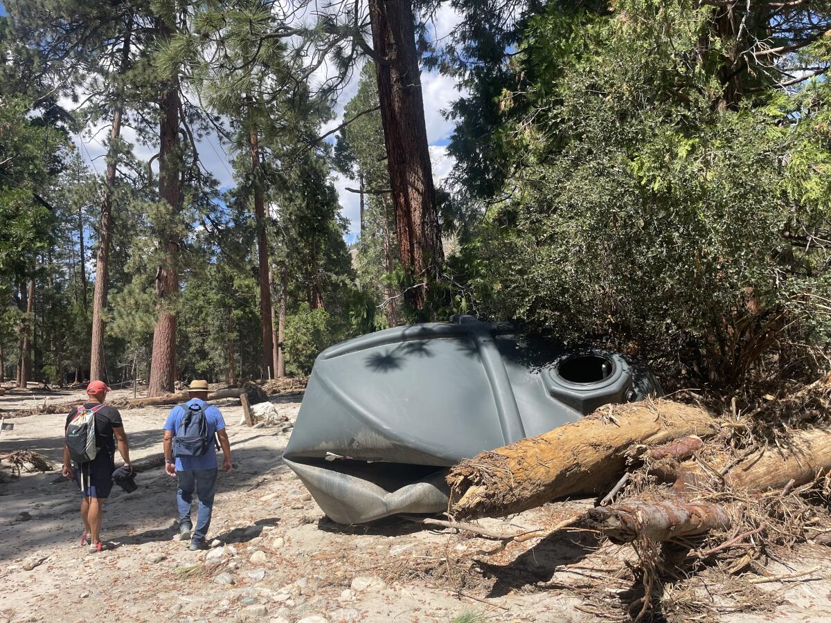 Camp River Glen in the San Bernardino National Forest 