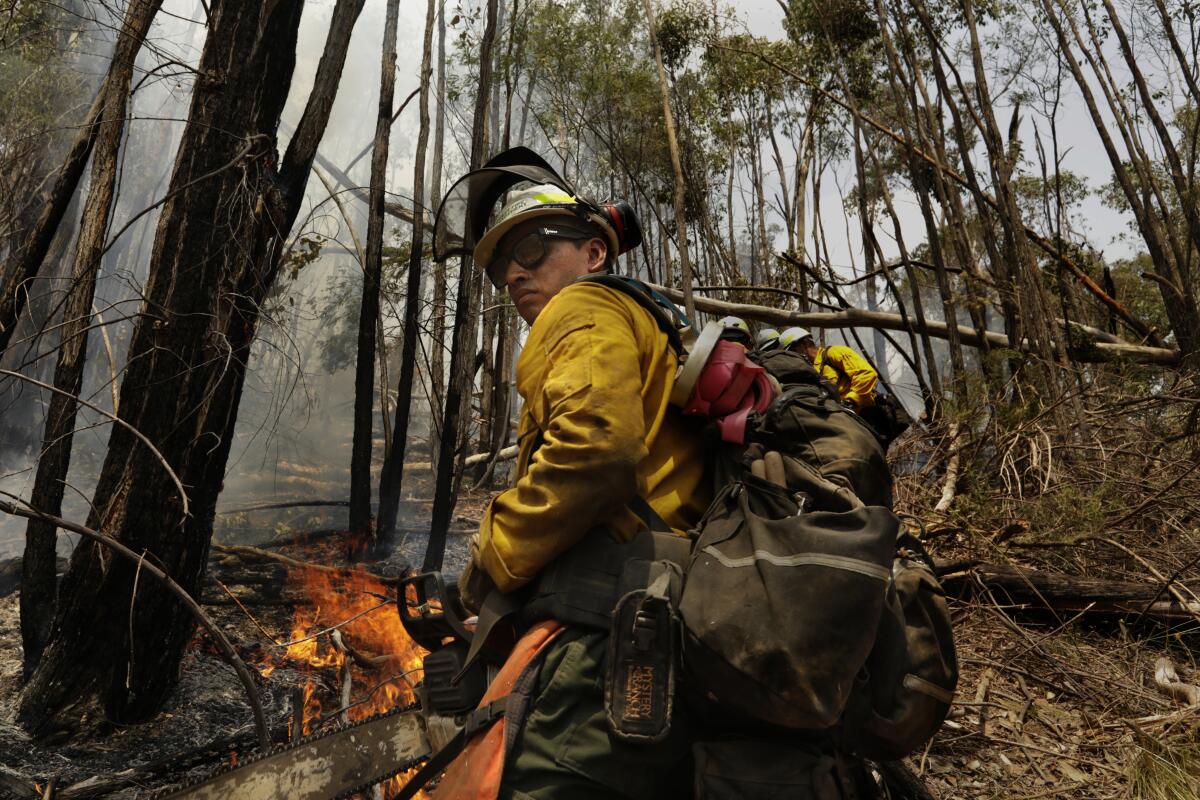 Hector Cerna, 39, from Palmdale, CA works to put out hot spots in the Alpine National Park where he and an American crew have been working for the past two weeks.