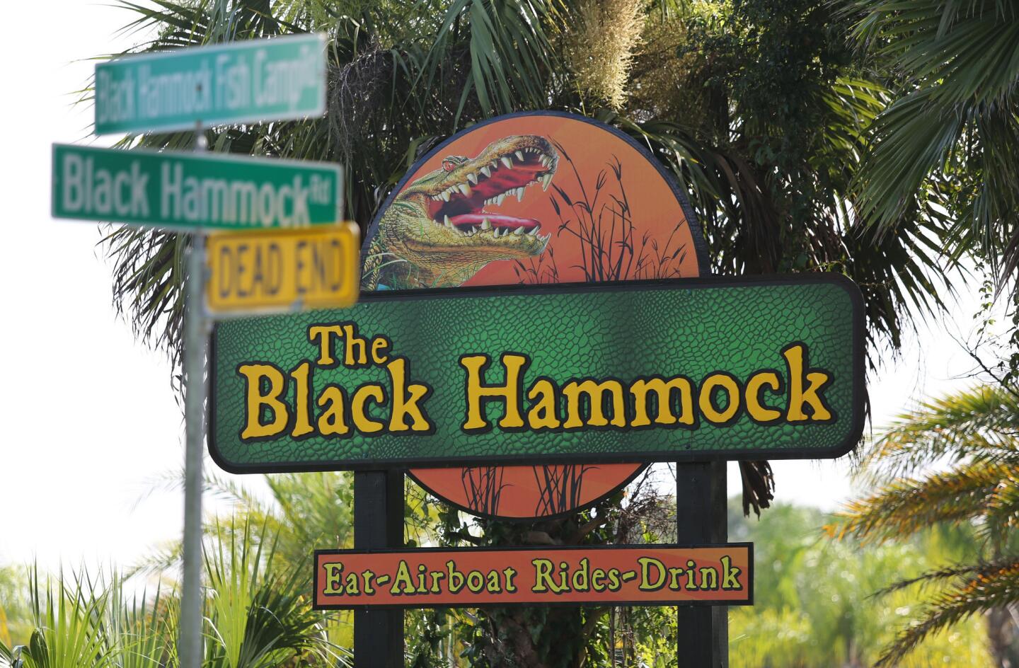 Black Hammock Adventures in Oviedo