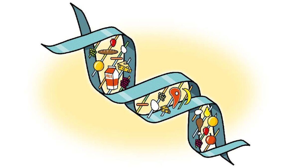 Pierderea in greutate prin ADN, Scurtă istorie a geneticii… știința viitorului | romanticfix.ro