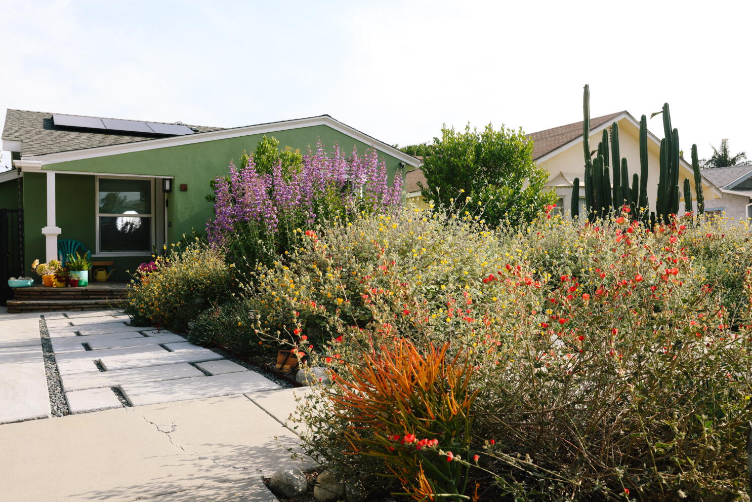 Pacific Green Landscape Maintenance