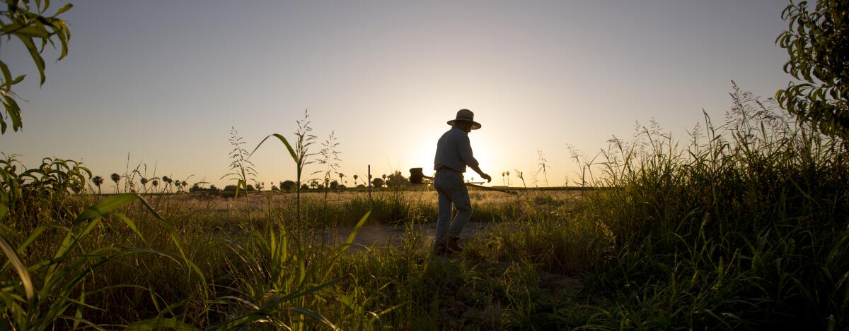 A silhouetted man wearing a hat walking along a farm field 