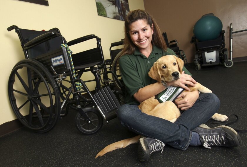 Veteran Harnesses Healing Power Of Dogs The San Diego Union Tribune