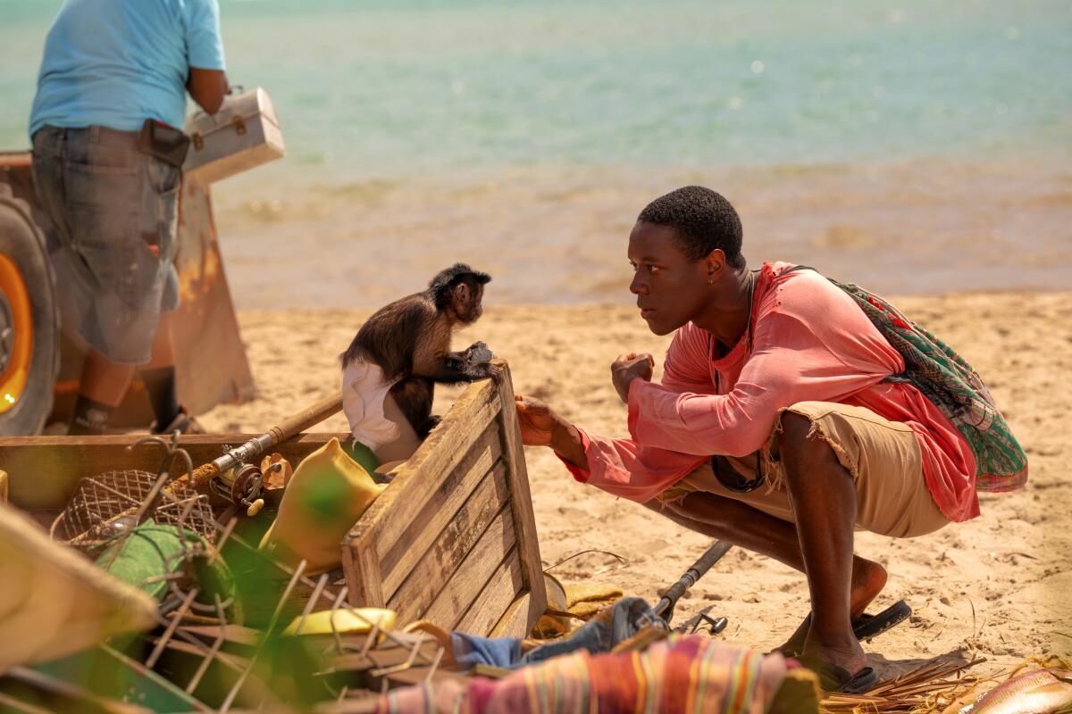 A monkey sitting on fishing gear looking at a man in a red shirt crouching on the beach.