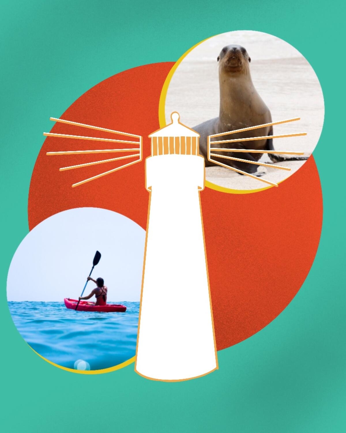 Photo illustration of lighthouse with photos of a seal and a kayaker.