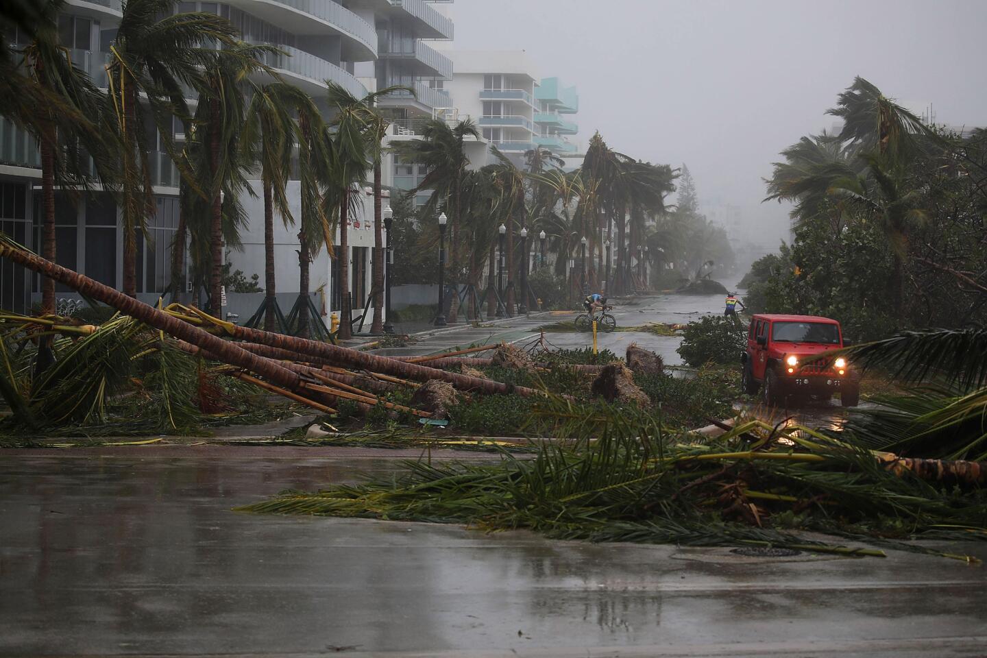 A vehicle passes downed palm trees and two cyclists attempt to ride as Hurricane Irma passed through the area on Sept. 10, 2017, in Miami Beach, Florida.