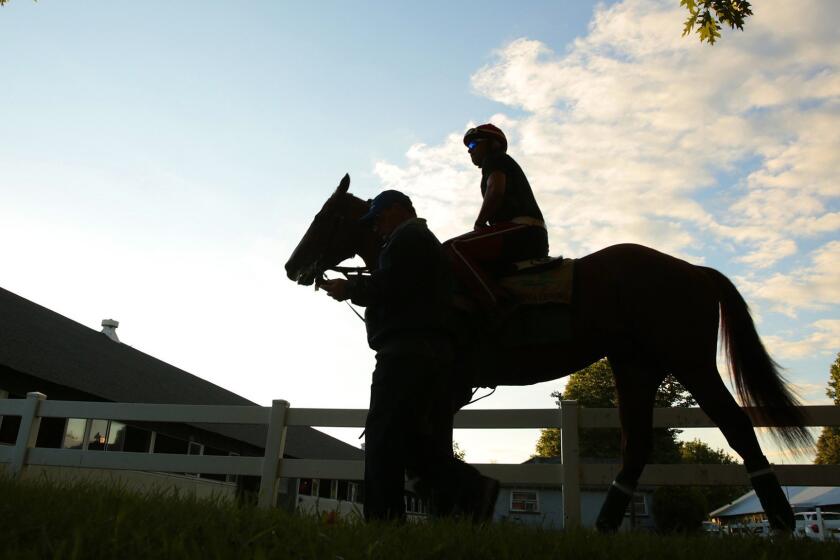 California Chrome, with exercise rider William Delgado, goes out for an exercise session at Belmont Park on Friday.