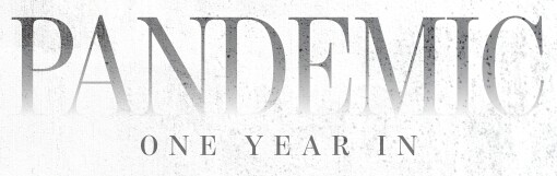 Pandemic: One year in