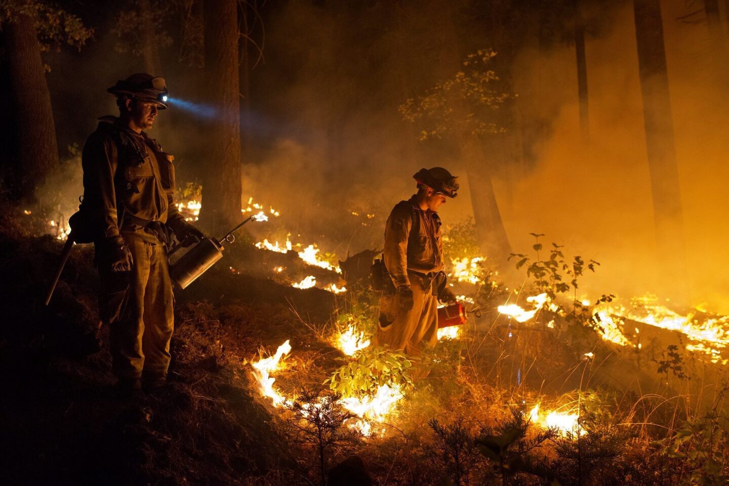 Firefighters use drip torches to set a controlled burn to create a safe zone around homes close to the King fire near Pollock Pines, Calif.