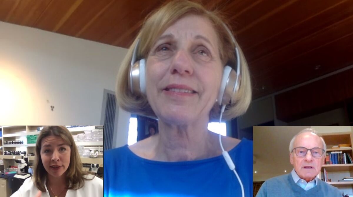 La Jolla resident and District 1 San Diego City Council member Barbara Bry (center) asks coronavirus questions to Erica Ollmann Saphire of La Jolla Institute for Immunology, and pulmonary-disease specialist Thomas Martin, via the Zoom app on March 30, 2020.