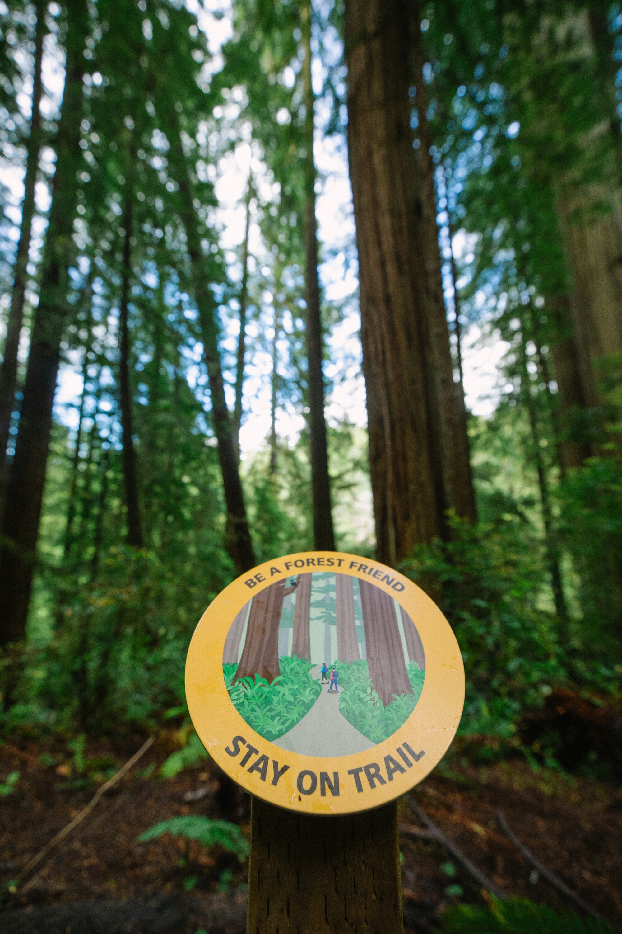 Signs on Mill Creek Trail discourage walking off-trail.