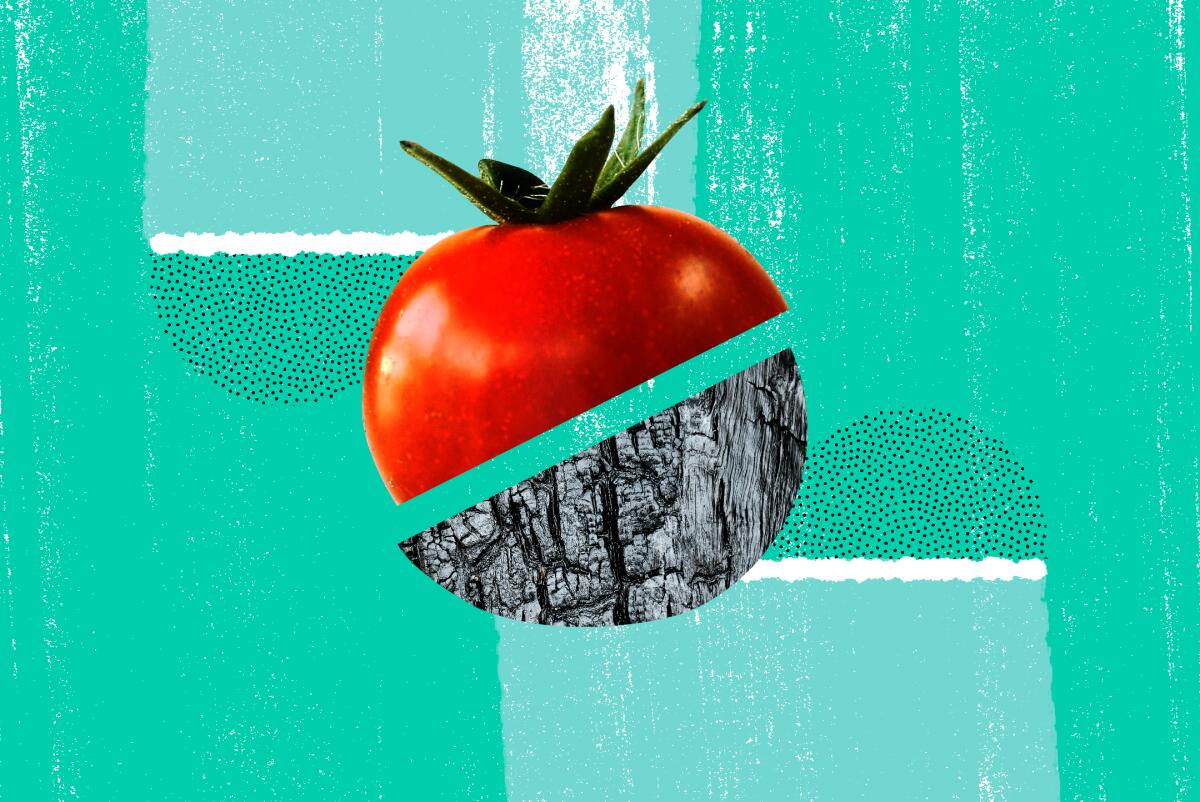 tomato illo