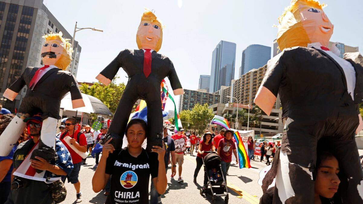 Piñatas of President Trump get a free ride while marchers make their way up Hill Street during the May Day march in Los Angeles.