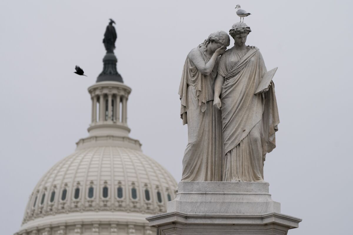 Birds fly around the Peace Monument and the Statue of Freedom atop the Capitol dome in Washington on Friday.