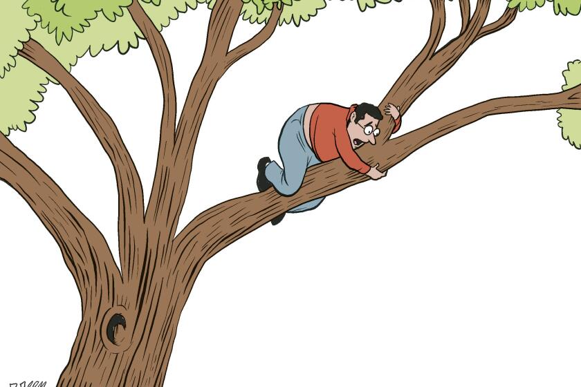 Breen man in tree