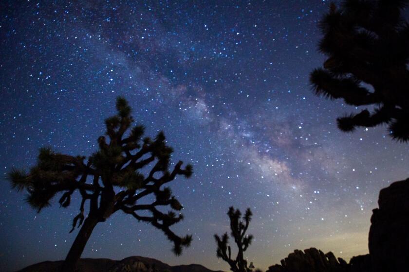 JOSHUA TREE, CALIF. -- WEDNESDAY, JULY 26, 2017: A view of the Milky Way arching over Joshua Trees and rocks at a park campground popular among stargazers in Joshua Tree National Park Wednesday, July 26, 2017. Joshua Tree National Park won the coveted International Dark Skies Park designation for the park. The certification from the nonprofit International Dark Sky Association, based in Tucson, Ariz., was announced Wednesday, July 26, 2017. Joshua Tree, which harbors some of the darkest night skies in the United States, is the 10th International Dark Sky Park in the U.S. National Park system. (Allen J. Schaben / Los Angeles Times)