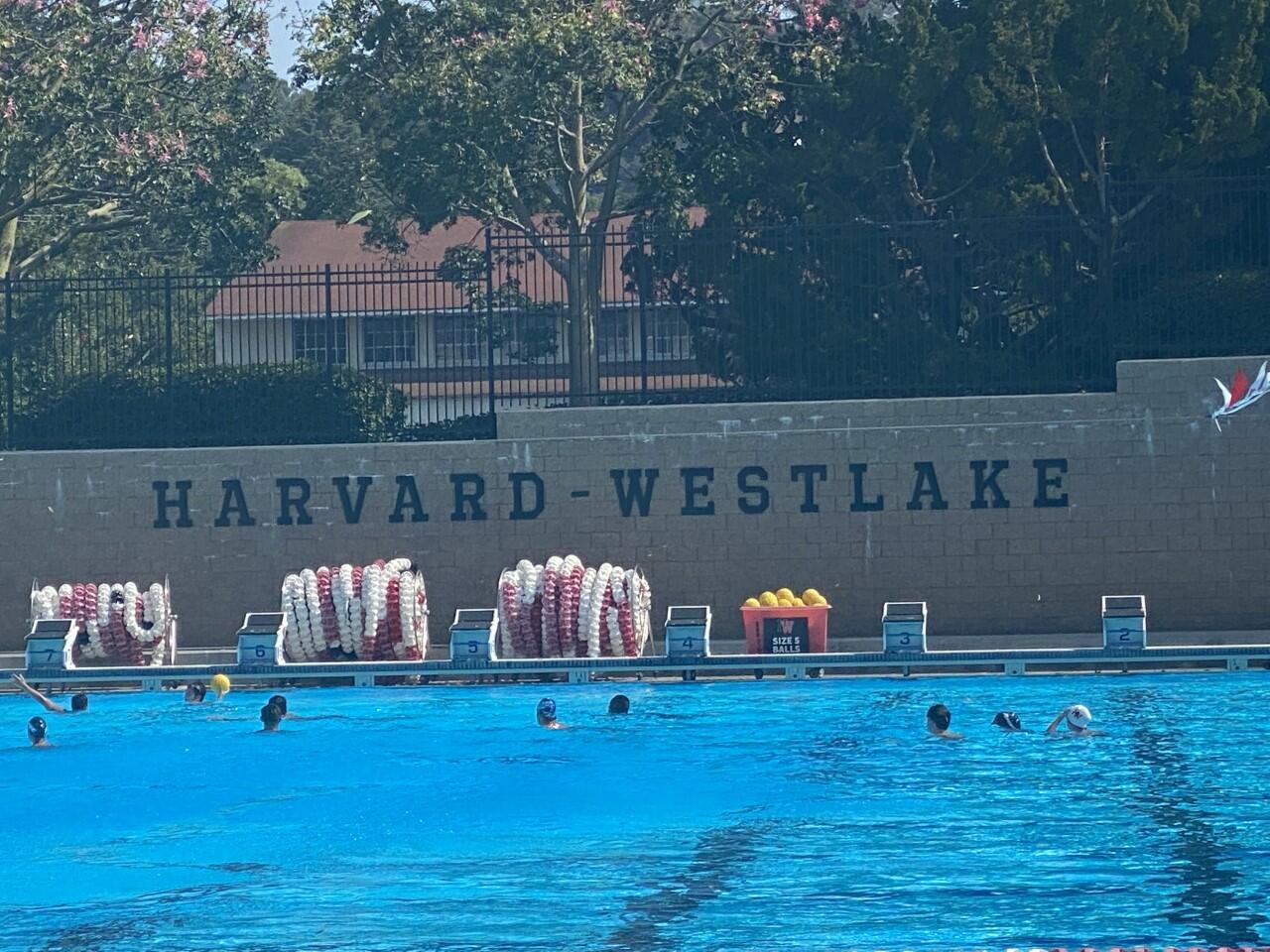 The Water Polo Lawsuit Fallacy Why We Sacrifice Merit for Performance Outrage