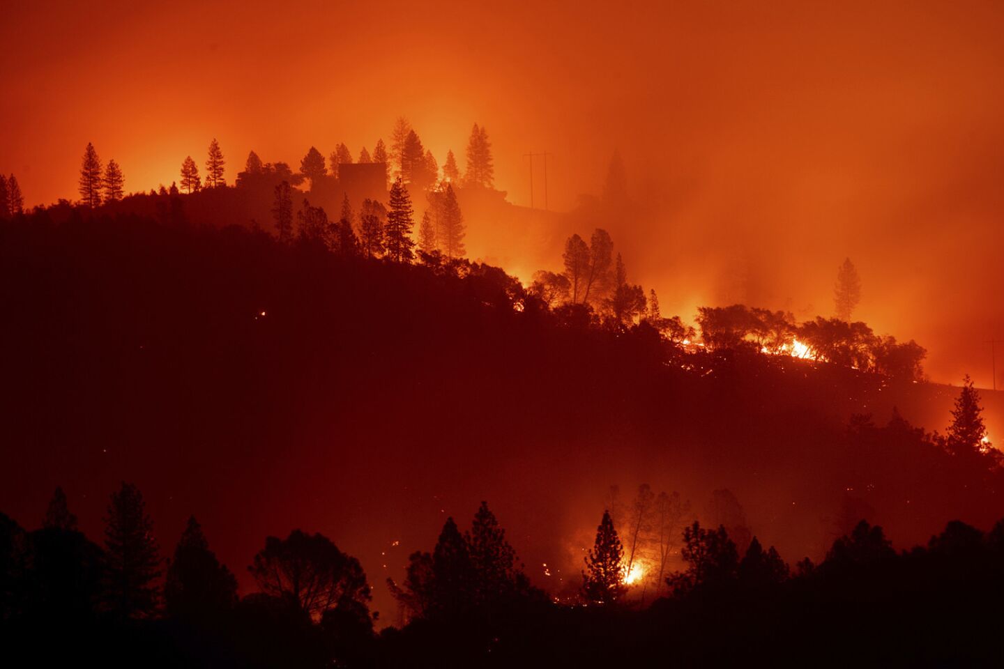 The Camp fire burns along a ridgetop near Big Bend, Calif., on Saturday.