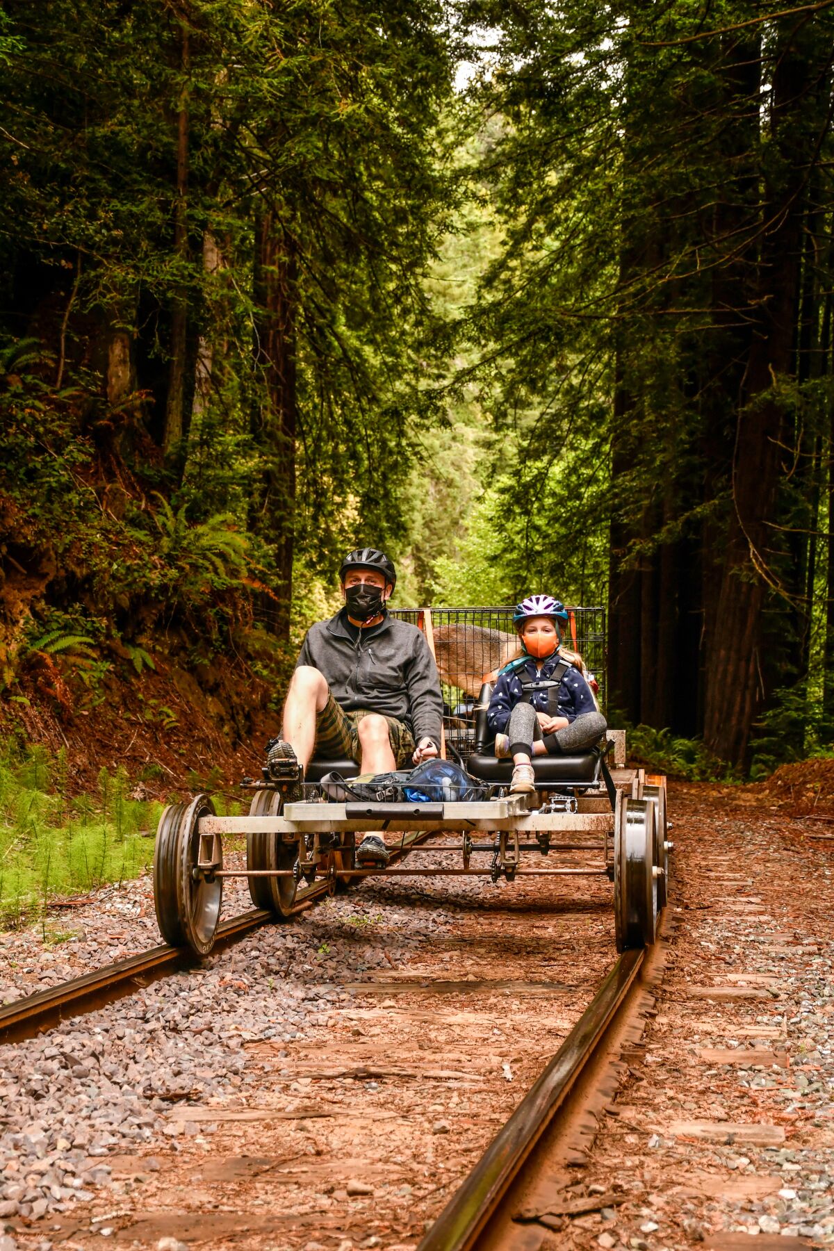 Two people on a railbike pedal through a redwood forest.