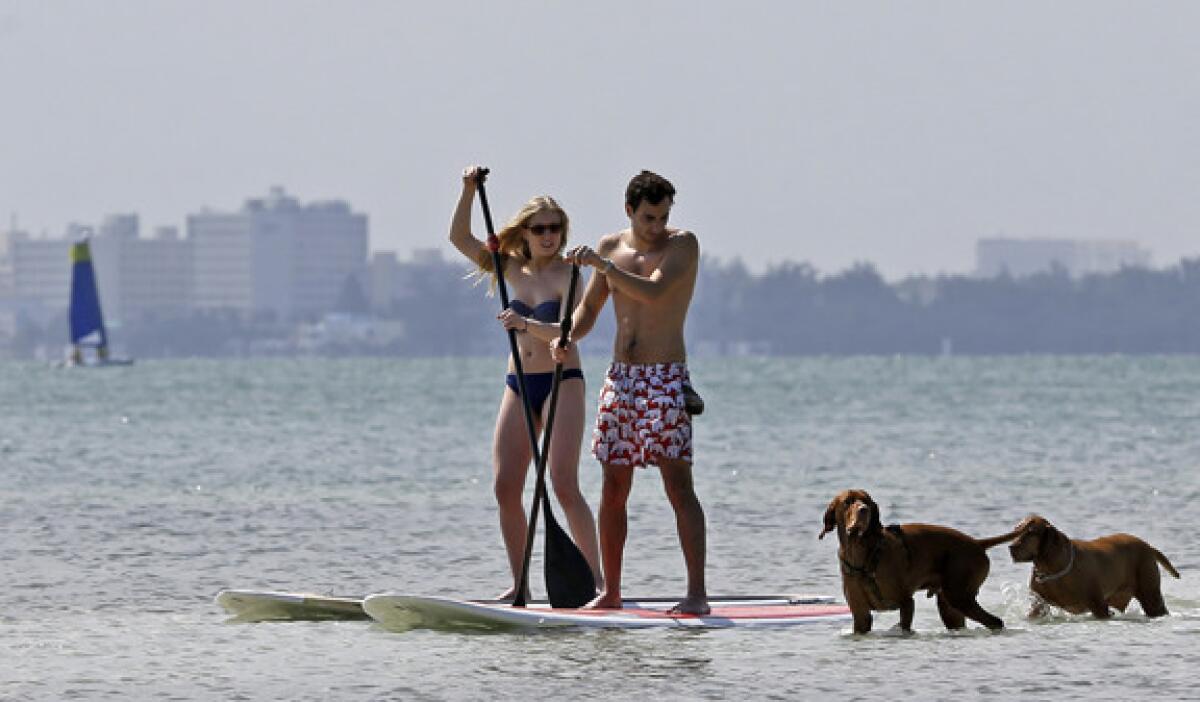 Mariah Mueller of Rochester, N.Y., and Enrique Davila enjoy a day at the beach with pet dogs Milo and Lola, at Hobie Island Beach Park in Miami.
