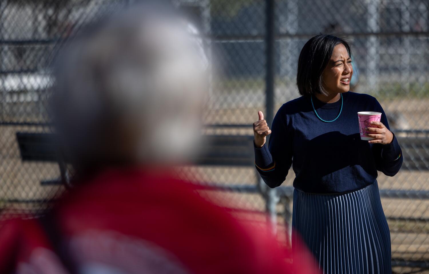 L.A. City Council election: 31 candidates compete for 7 seats