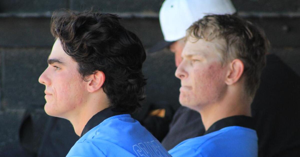 Prep talk: Villa Park pitching duo will be tough in Division 2 playoffs