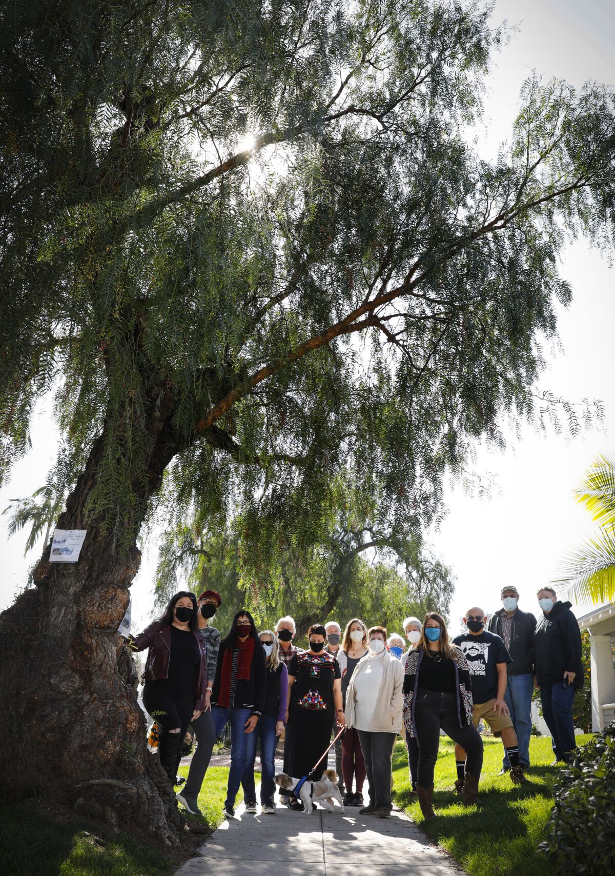 Kensington residents stand next to a tree slated for removal. 