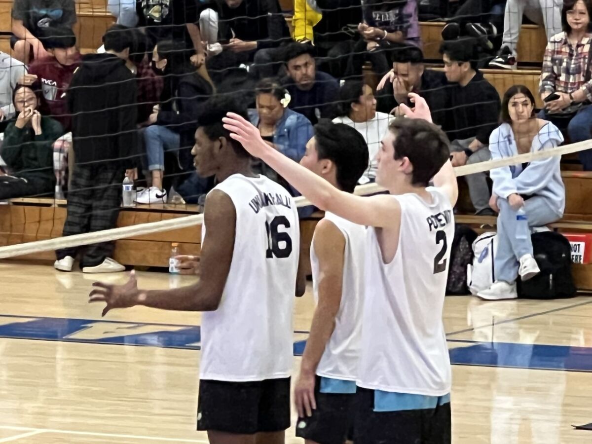 Blake Pohevitz covers up Jamaal Unuakhalu and Nate Kim during Chatsworth's volleyball win over El Camino Real.
