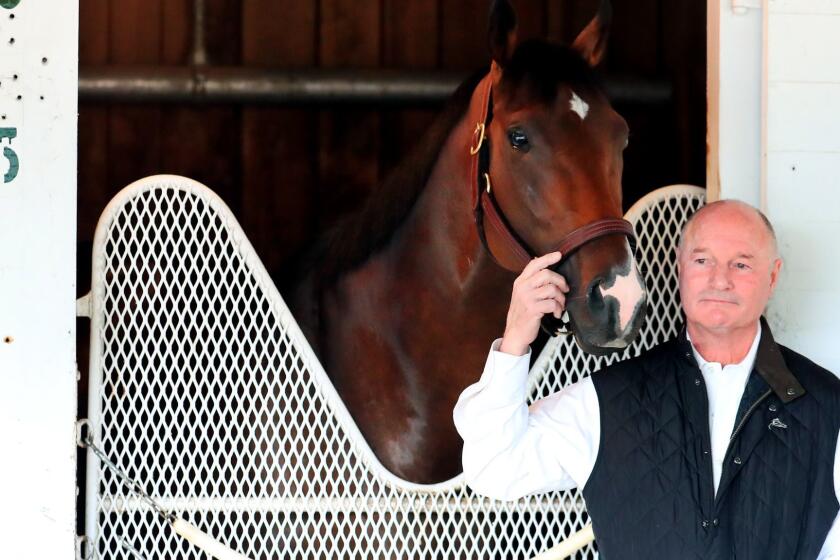 LOUISVILLE, KENTUCKY - MAY 02: Trainer Richard Mandella looks on with Omaha Beach after Omaha Beach was scratched the 145th running of the Kentucky Derby at Churchill Downs due to an entrapped epiglottis on May 2, 2019 in Louisville, Kentucky. (Photo by Tom Pennington/Getty Images) ** OUTS - ELSENT, FPG, CM - OUTS * NM, PH, VA if sourced by CT, LA or MoD **