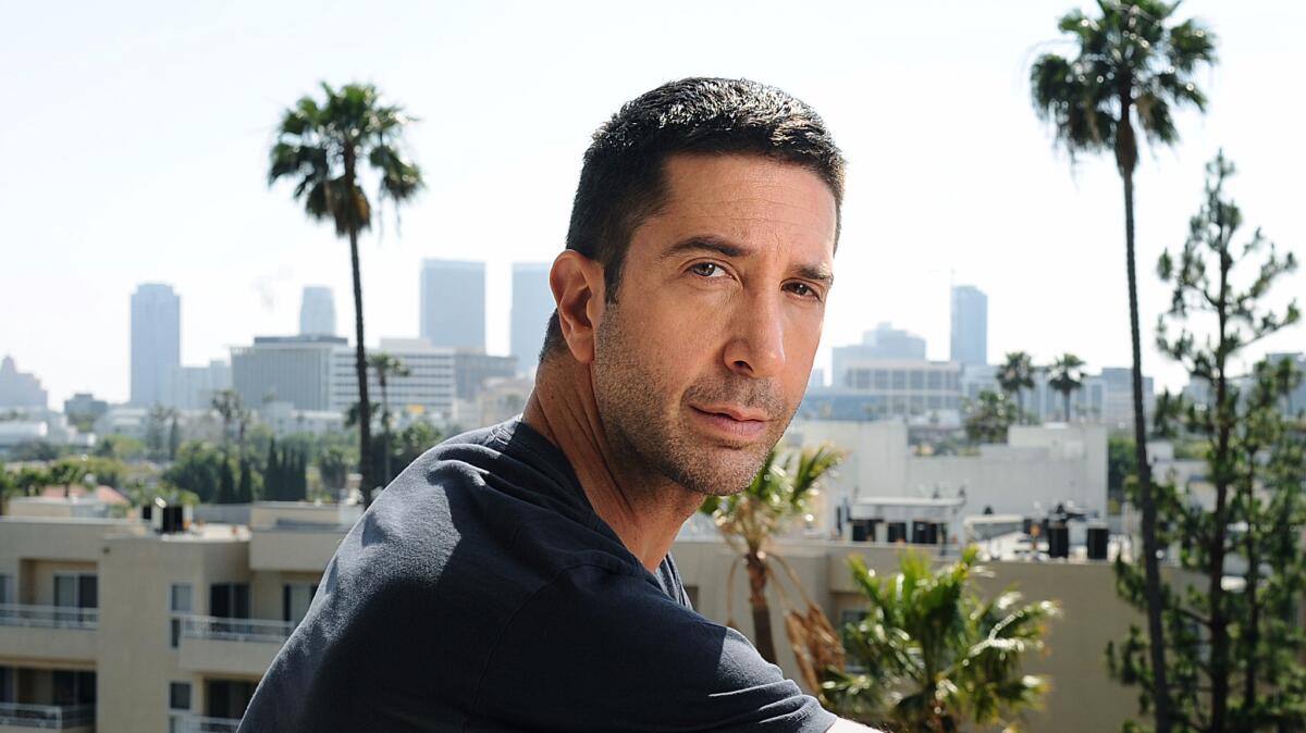 David Schwimmer embarks on a new TV role in "Feed the Beast."