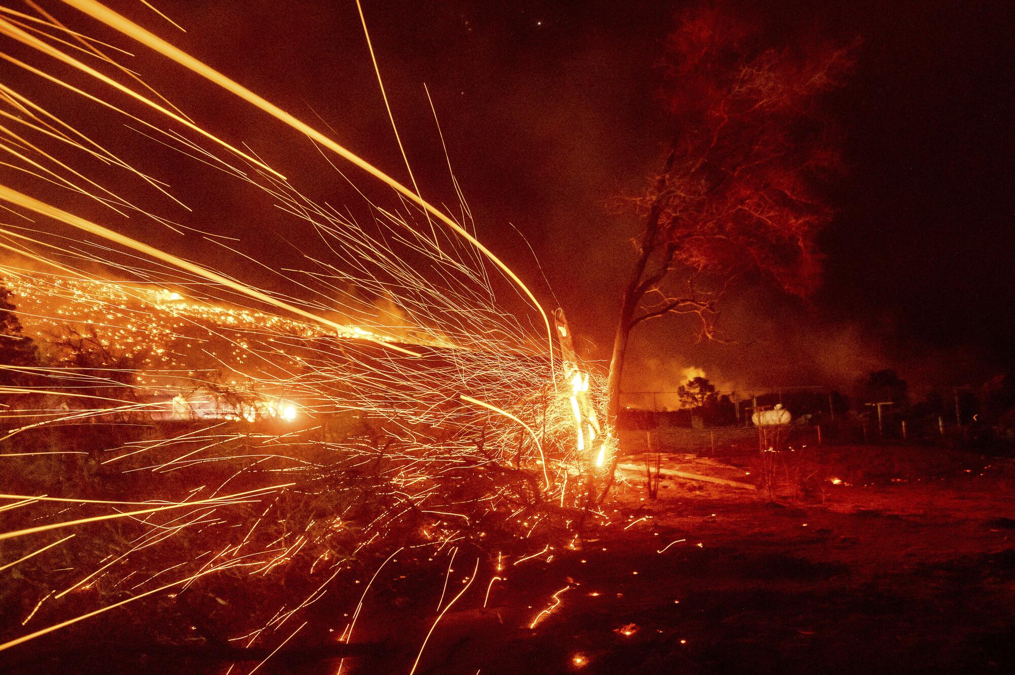 Embers fly from a tree as the Mountain View Fire burns through the Walker community in Mono County.
