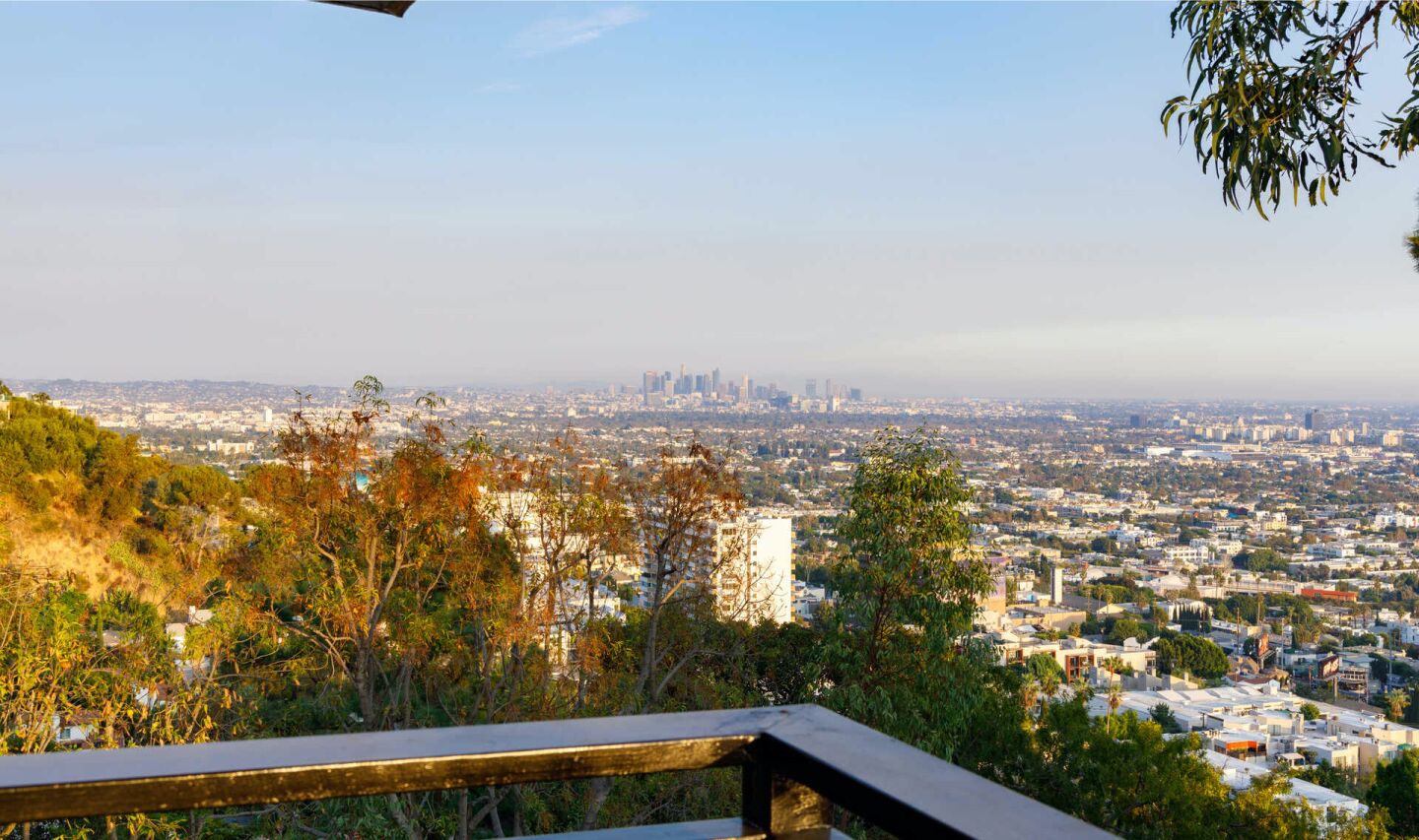 The view.