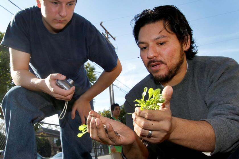 Chef Ray Garcia, right, working at his school garden project in 2010.