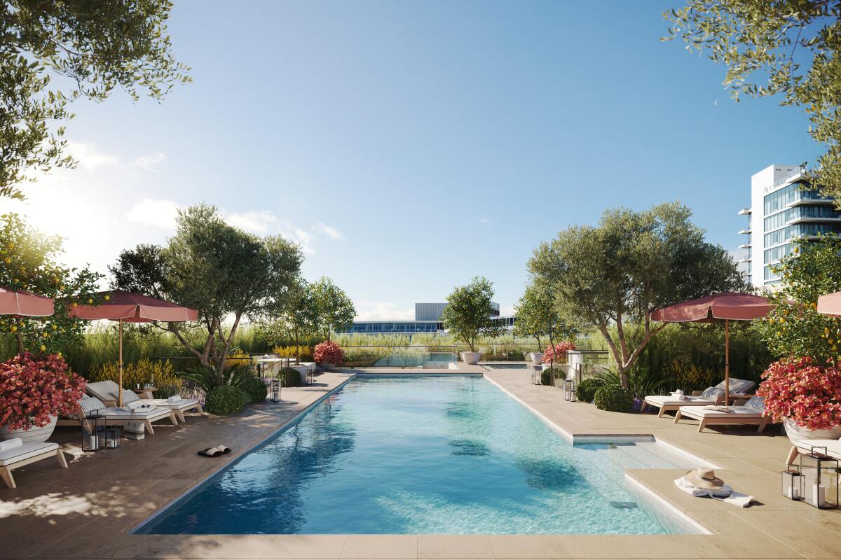 A rendering shows a rooftop pool at Rosewood Residences Beverly Hills. 