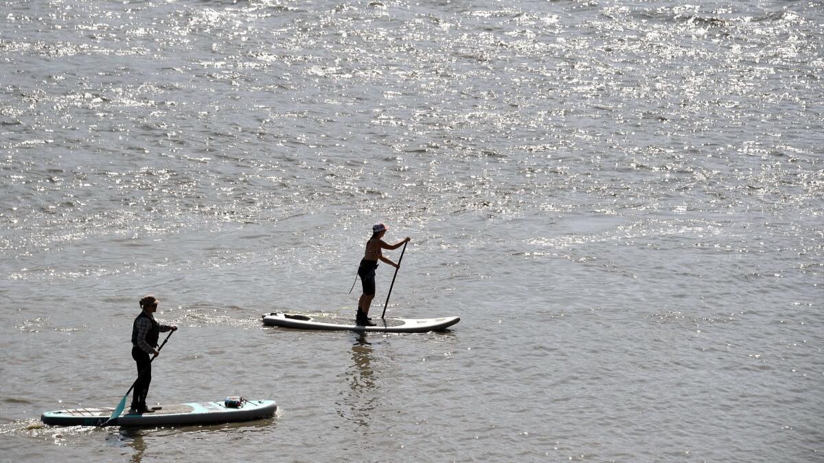 Paddleboarders near Anchorage.