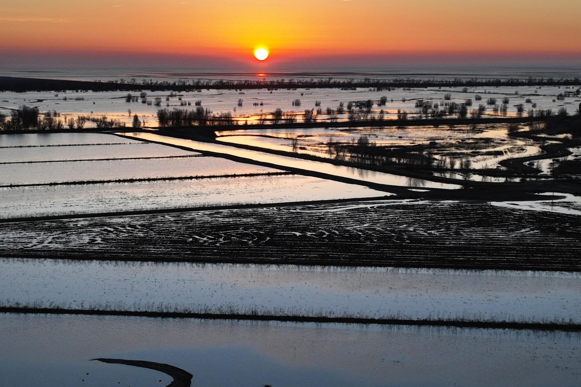 The sun rises over flooded growing fields. 