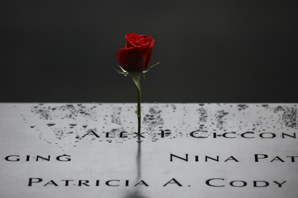 A rose stands along the north pool at the 9/11 Memorial and Museum in New York during a commemoration ceremony for the victims of the 2001 terrorist attacks.