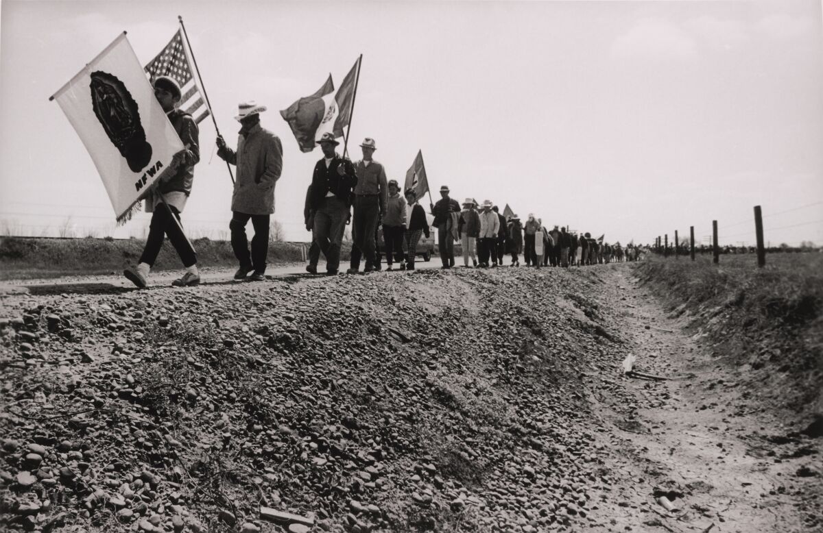 Labor activists carrying flags march along a dirt embankment in an image from the documentary “A Song for Cesar.”
