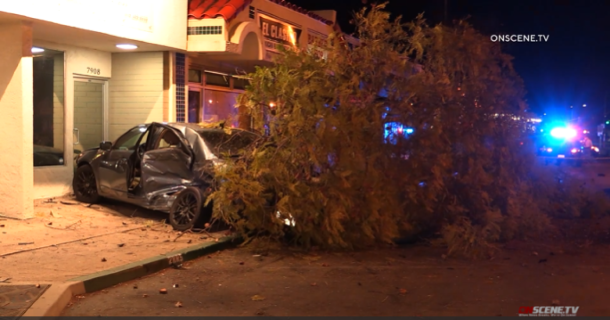 A woman was killed in a crash early Sunday when her car left the road and struck a parked car and a tree in Lemon Grove.