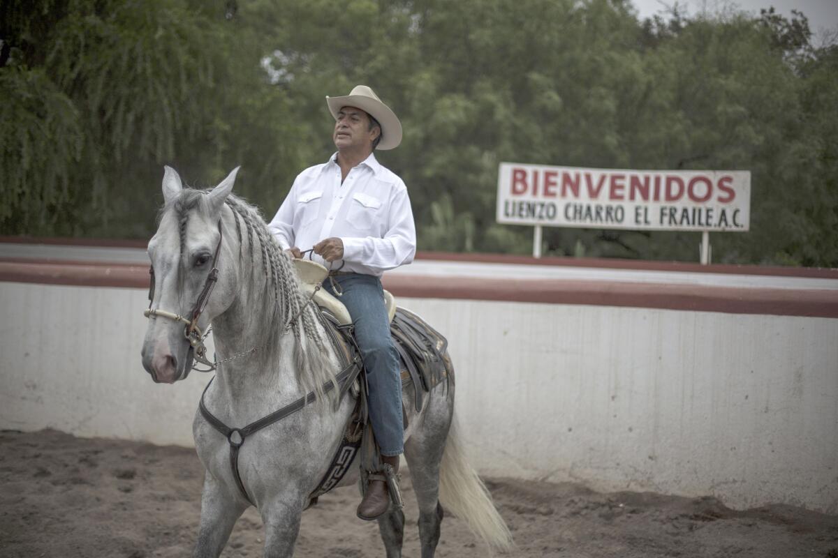 En esta imagen del domingo 7 de junio de 2015, Jaime RodrÌguez, conocido como "El Bronco," candidato independiente a gobernador en el estado norteÒo de Nuevo LeÛn, monta a caballo el dÌa de las elecciones en Villa de GarcÌa, MÈxico. RodrÌguez, el primer candidato independiente del paÌs a gobernador, lideraba los sondeos de salida cuando cerraron las urnas el domingo. Una ley electoral reformada hace poco permitÌa por primera vez la presentaciÛn de candidatos independientes. (AP Foto/Hans-Maximo Musielik)